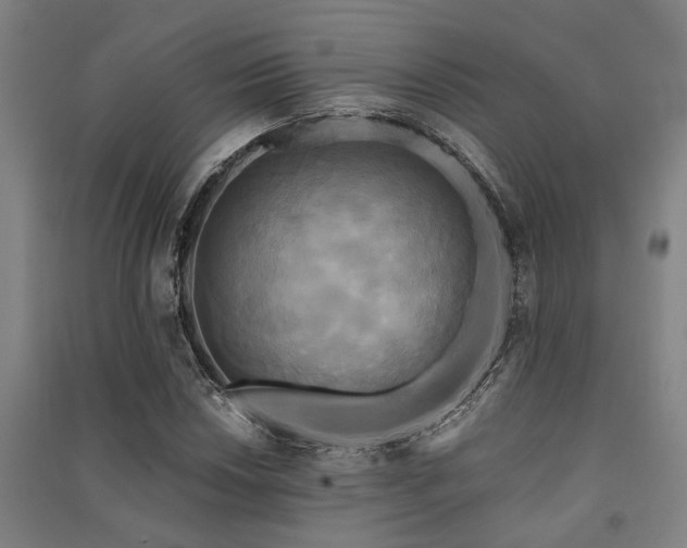 X0000091481018200708161414
