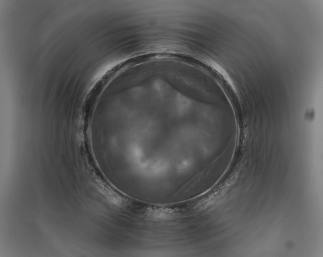 X0000091481019200708161414