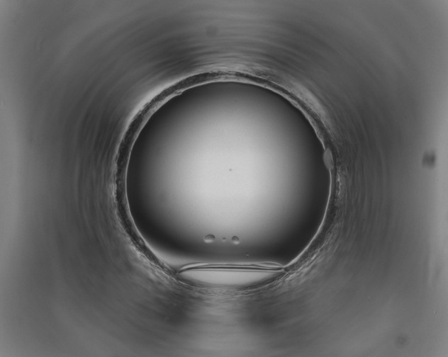 X0000091481020200708161414