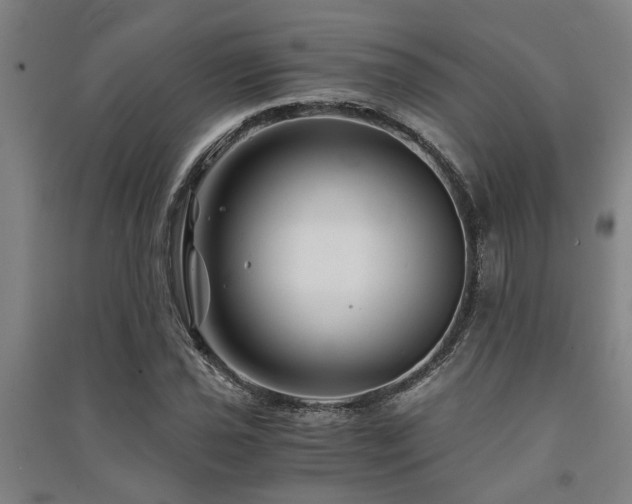 X0000091481021200708161414