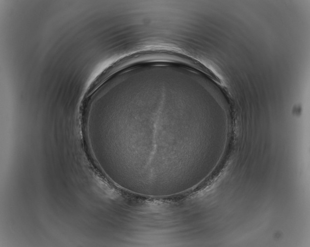 X0000091481022200708161414
