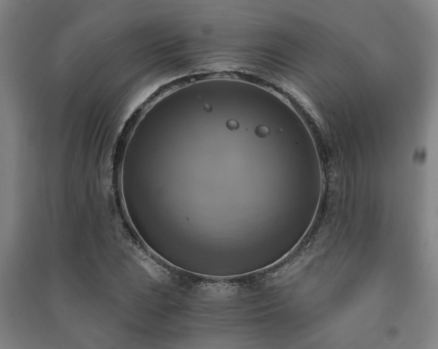 X0000091481023200708161414