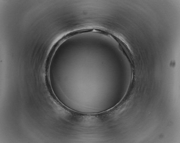 X0000091481024200708161414