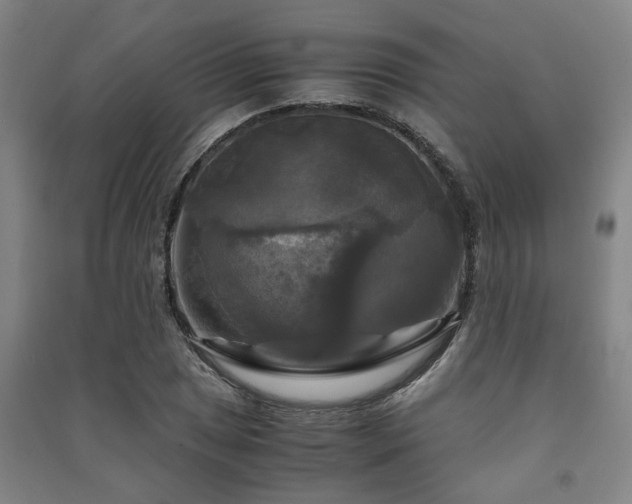 X0000091481025200708161414