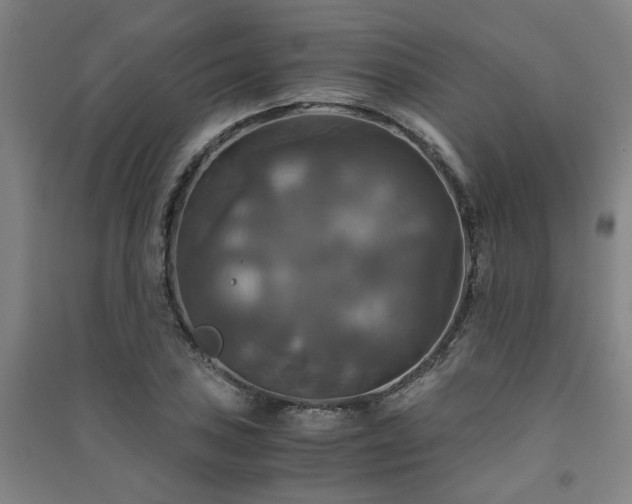 X0000091481027200708161414