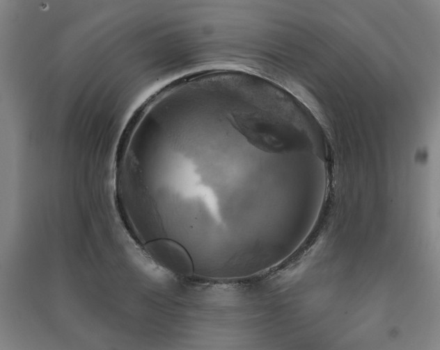 X0000091481028200708161414