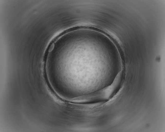 X0000091481029200708161414