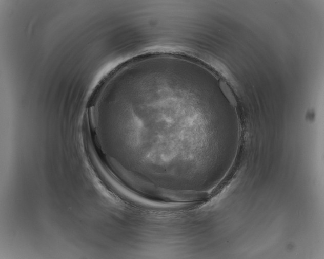 X0000091481030200708161414