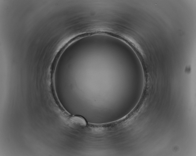 X0000091481031200708161414