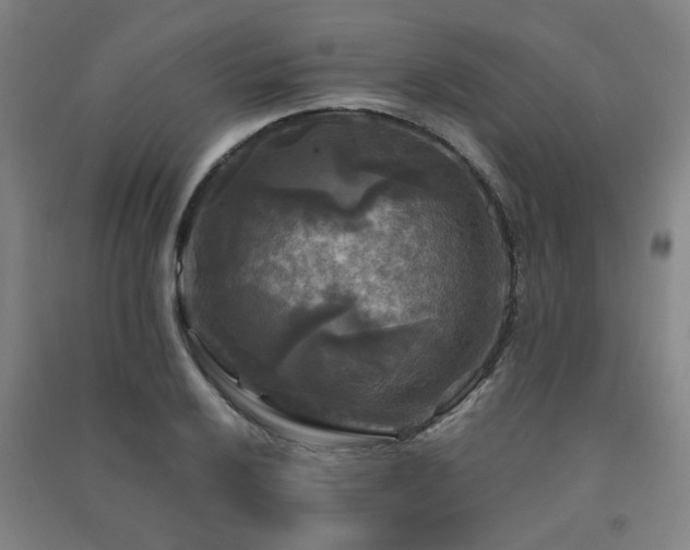 X0000091481032200708161414