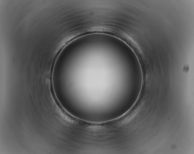 X0000091481033200708161414