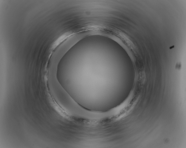X0000091481034200708161414