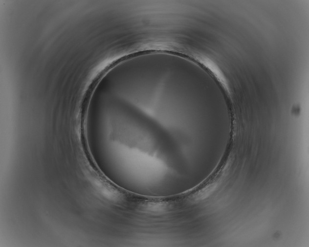X0000091481035200708161414
