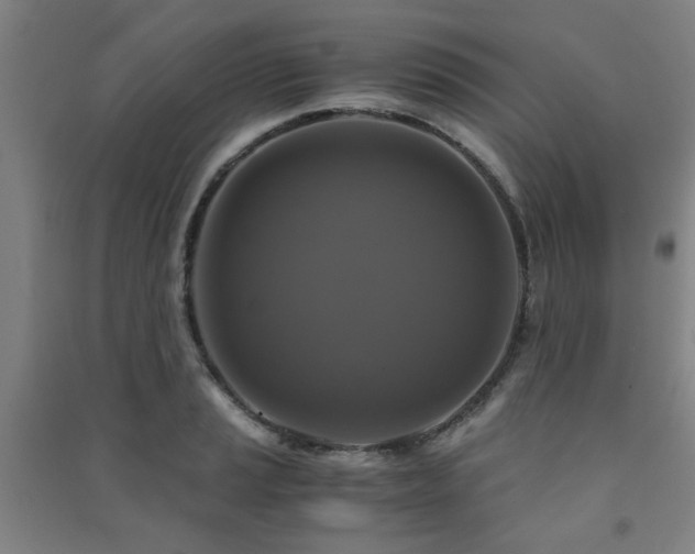 X0000091481037200708161414