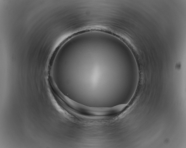 X0000091481038200708161414