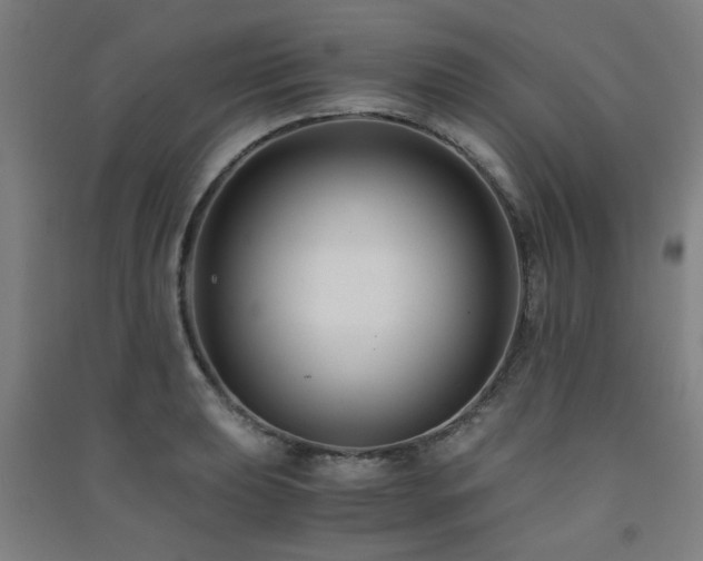 X0000091481039200708161414