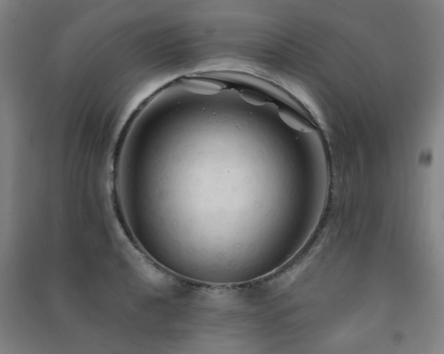 X0000091481040200708161415