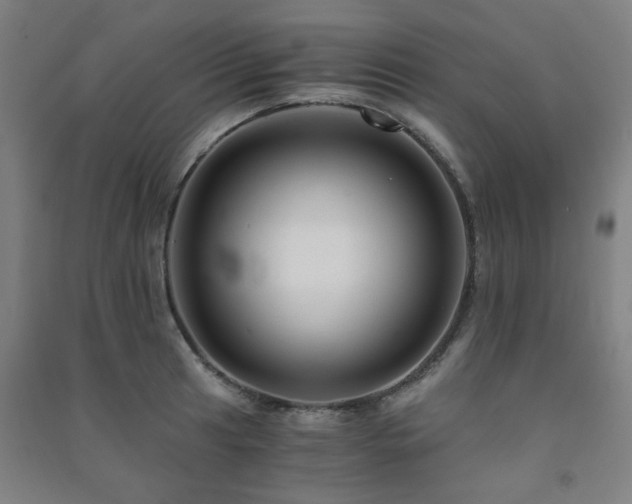 X0000091481041200708161415