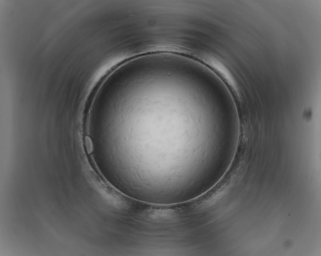 X0000091481043200708161415