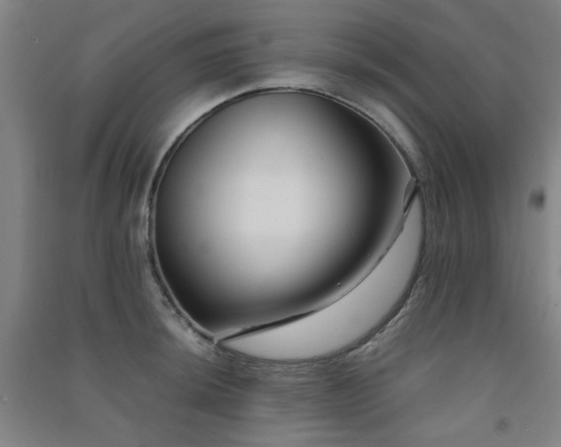 X0000091481044200708161415