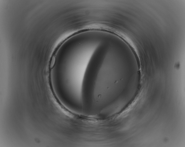 X0000091481045200708161415