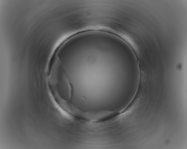 X0000091481046200708161415