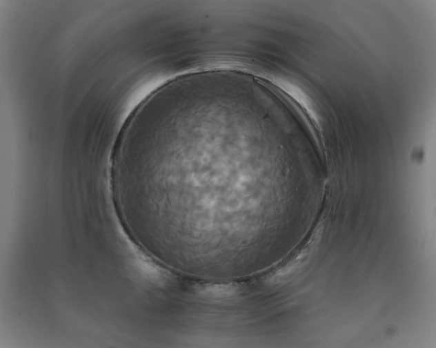 X0000091481047200708161415