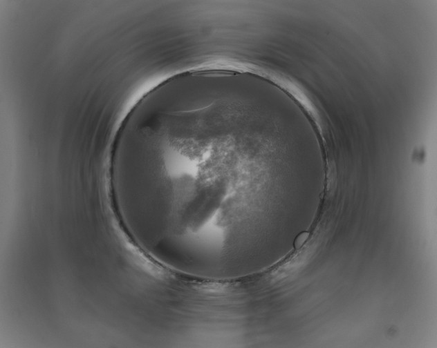 X0000091481048200708161415