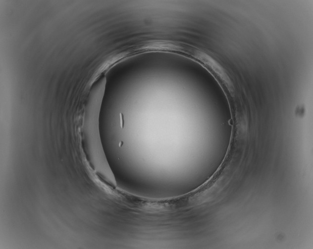 X0000091481049200708161415