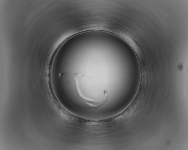 X0000091481051200708161415