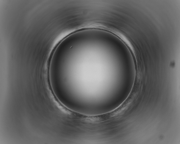 X0000091481053200708161415