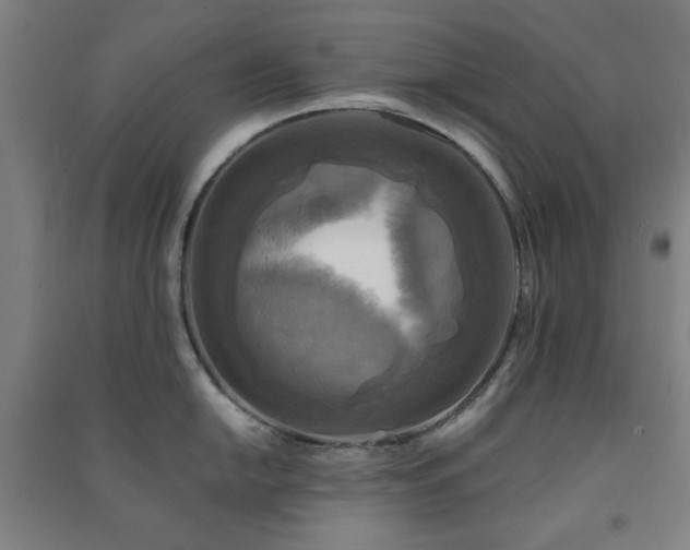 X0000091481054200708161415