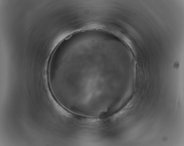 X0000091481055200708161415