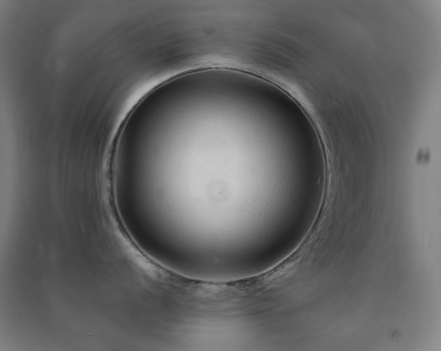 X0000091481056200708161415