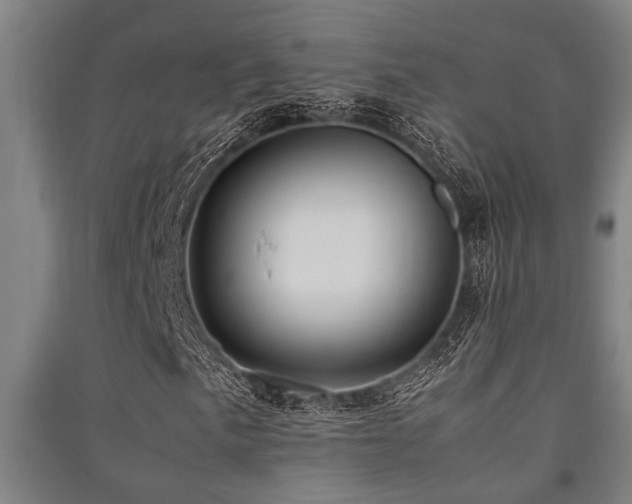 X0000091481057200708161414