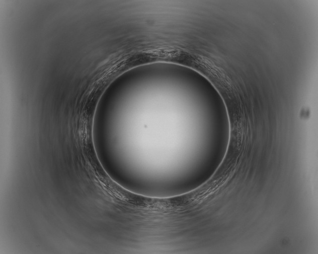 X0000091481058200708161414