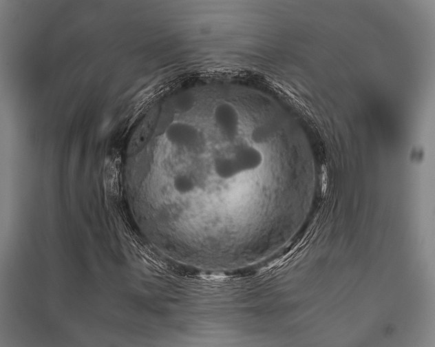 X0000091481059200708161414