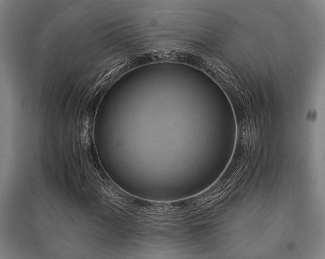 X0000091481060200708161414