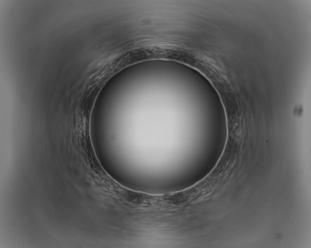 X0000091481061200708161414