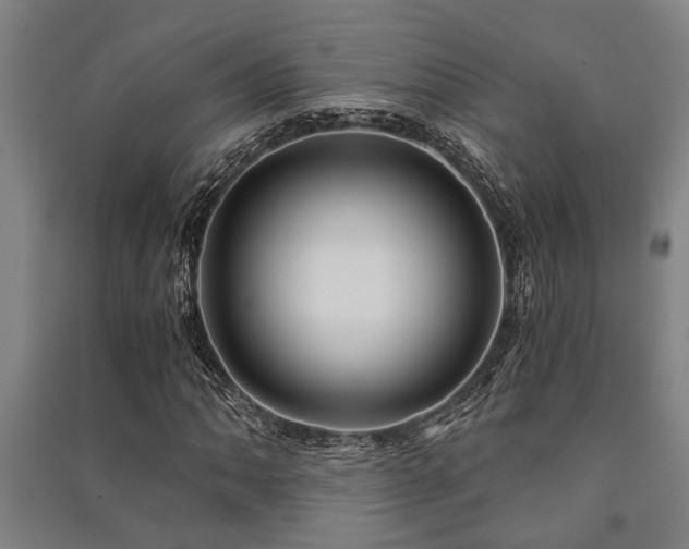 X0000091481062200708161414