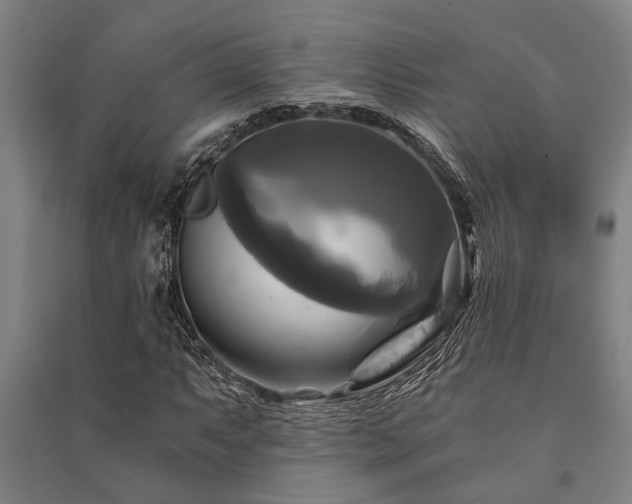 X0000091481063200708161414