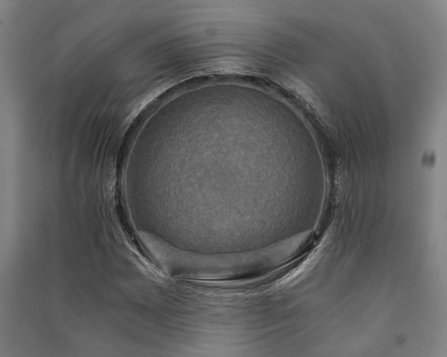X0000091481065200708161414