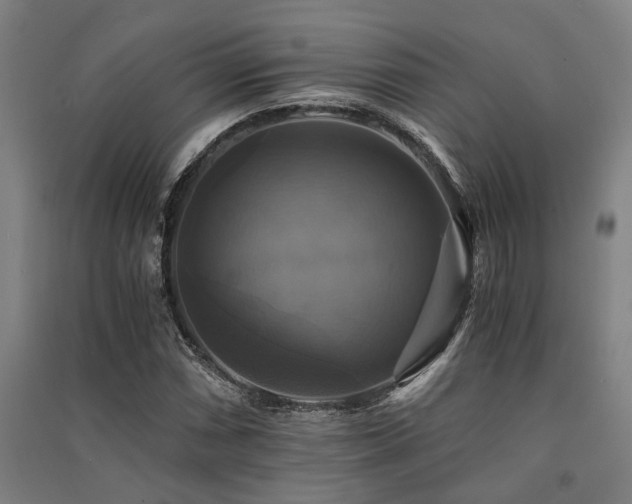 X0000091481066200708161414
