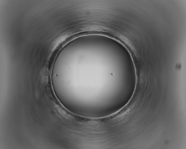 X0000091481067200708161414