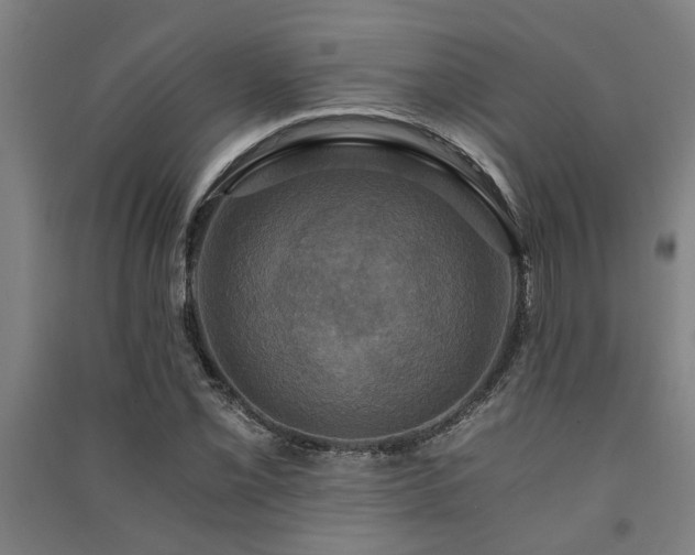 X0000091481069200708161414