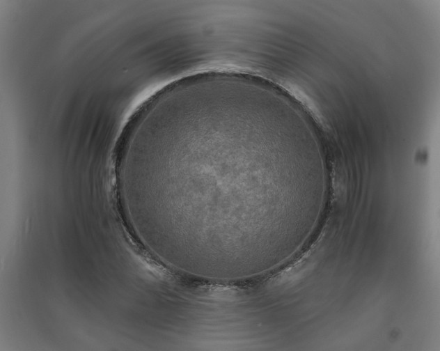 X0000091481070200708161414