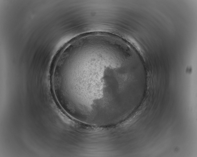 X0000091481072200708161414
