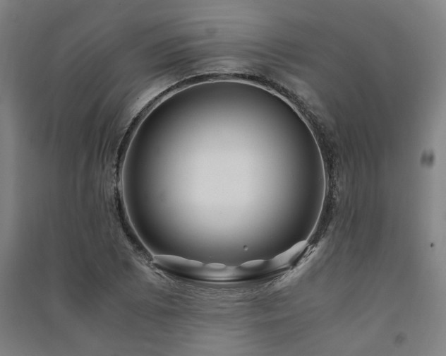 X0000091481073200708161414