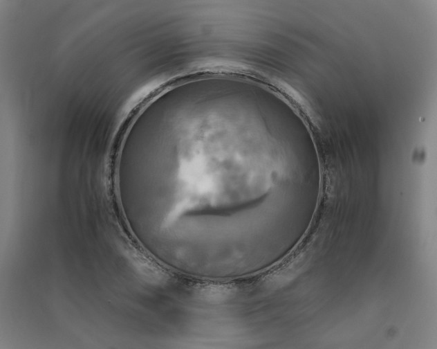 X0000091481074200708161414