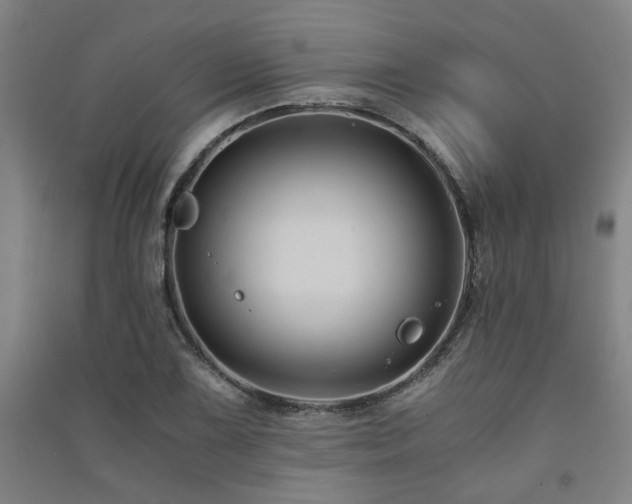 X0000091481075200708161414